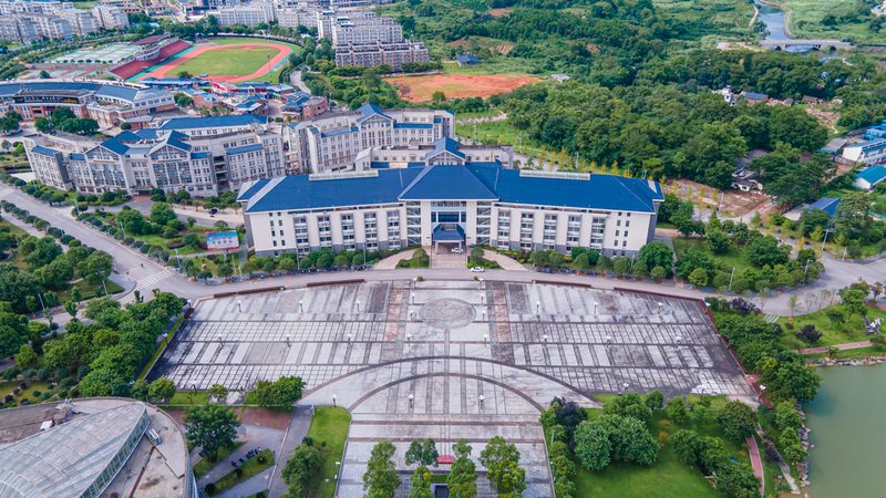 芯片尺寸规格：行业标准解析与选购要点
