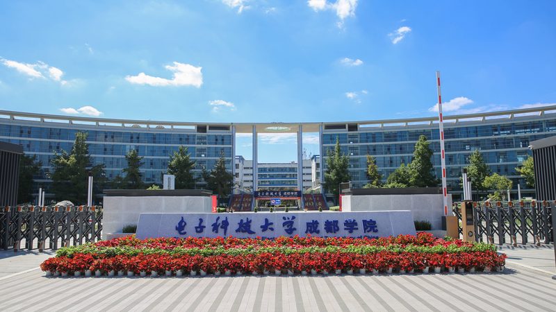 上海电子配件事务流程管理：揭秘高效供应链的秘密**