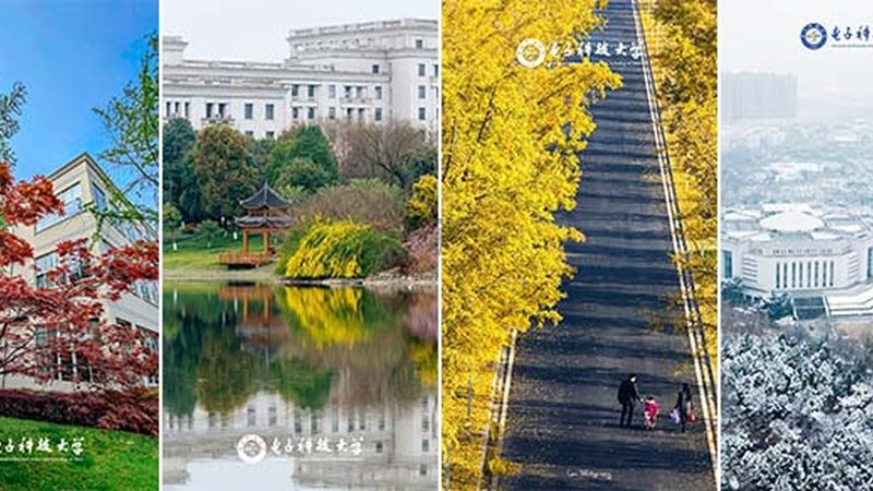 深圳电子元件批发市场哪家好