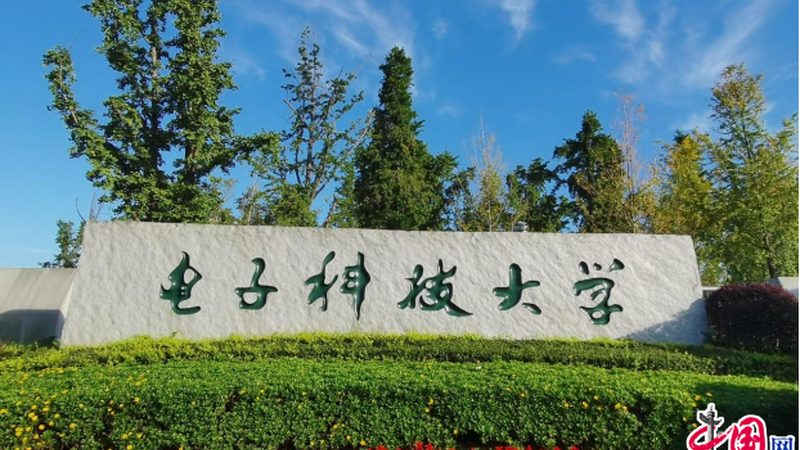 成都电子加工报价单，揭秘电子加工成本构成