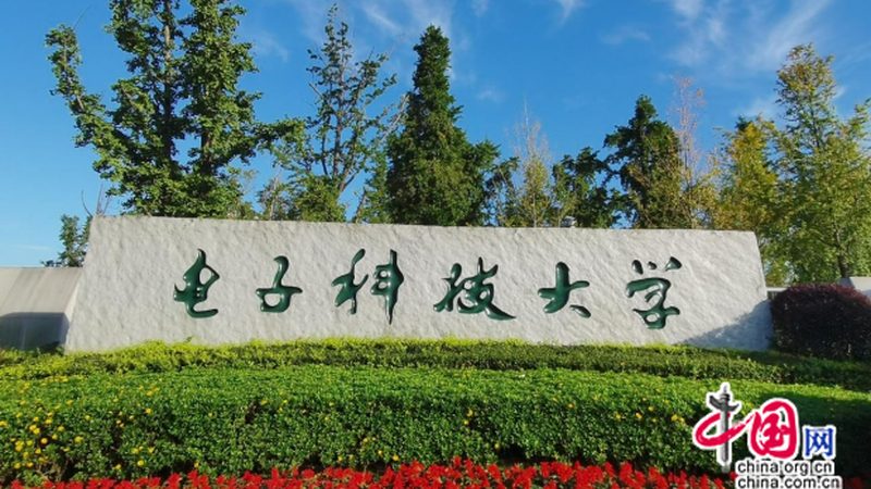 揭秘芯片代理公司名单：行业背后的真相